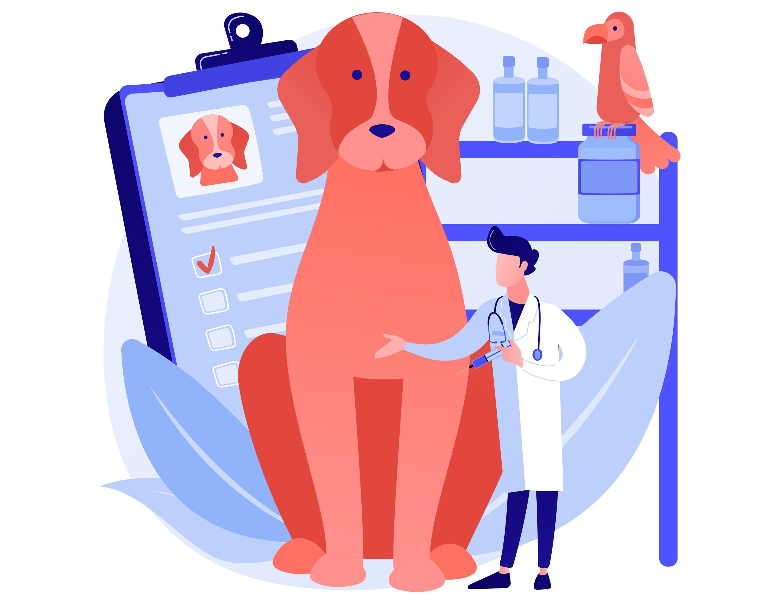 Pet Insurance: Is It Worth It for Your Furry Friend?